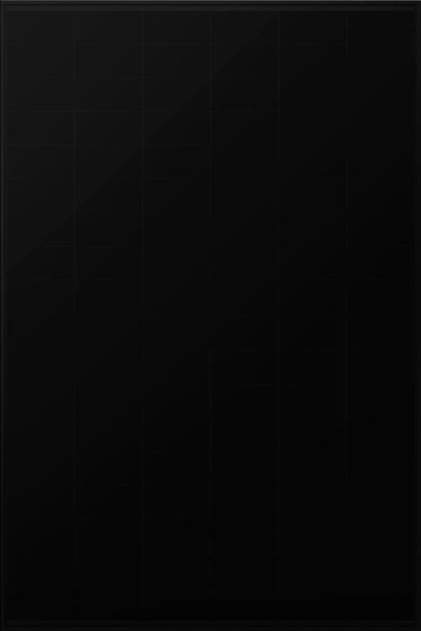 Bauer Solar Glas-Glas Black Back Contact